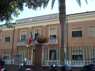 Izp teramo