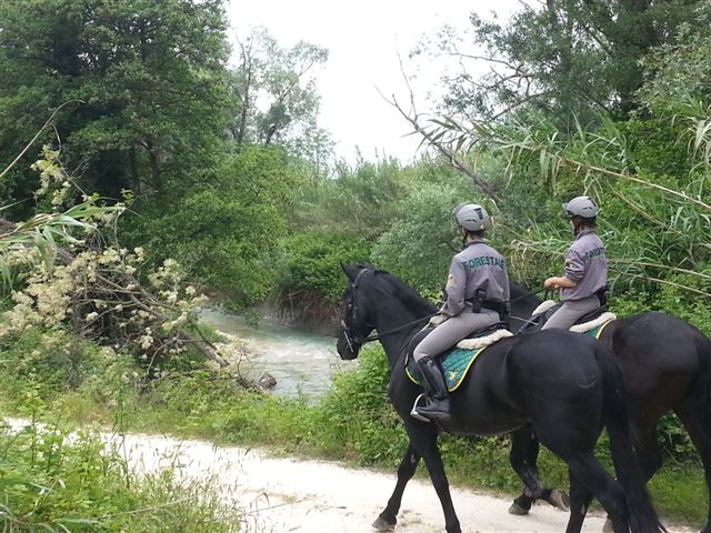 servizio a cavallo fiume foro