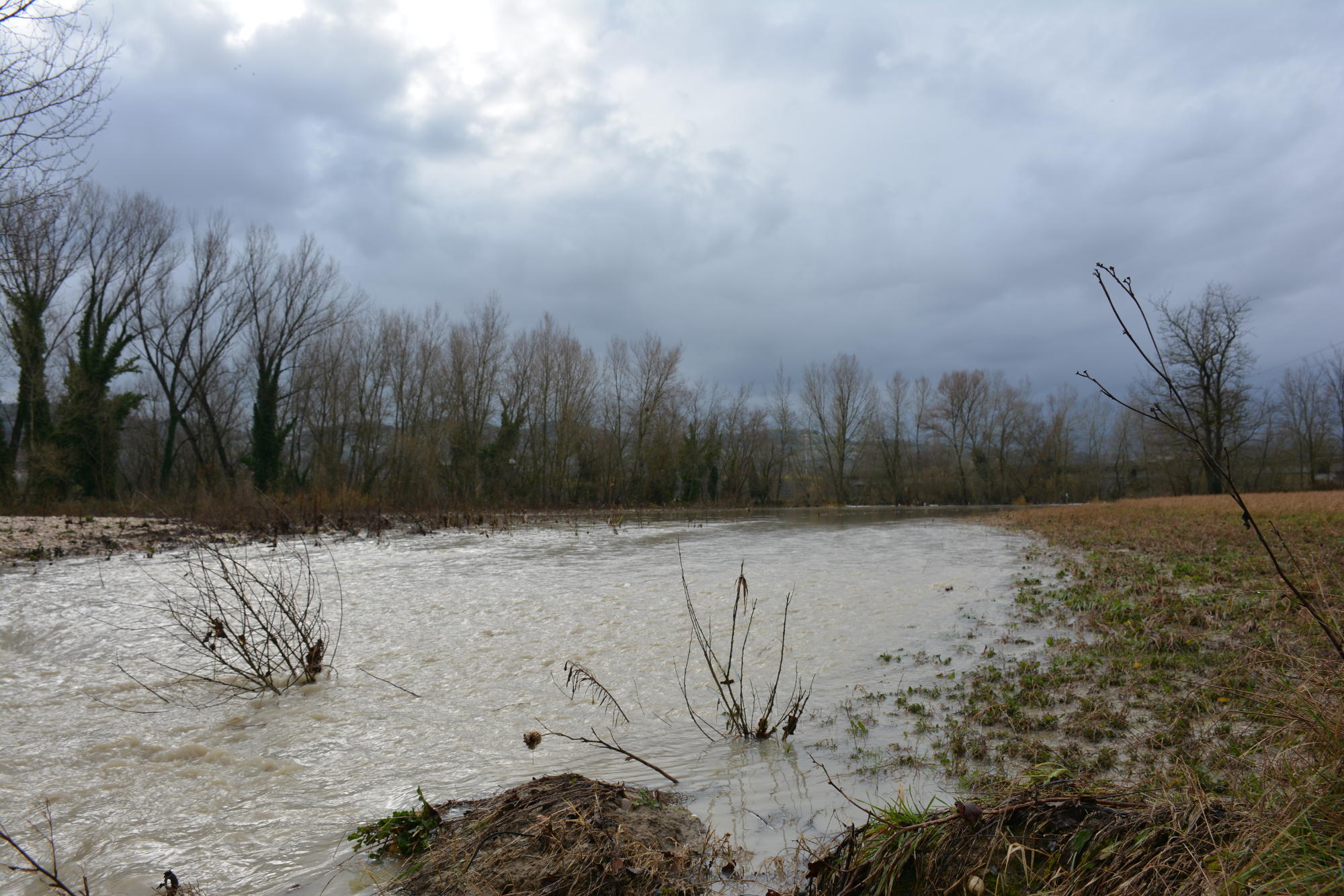 Sostegno 16 area allagata bas