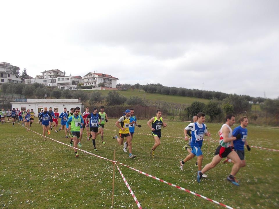 Cross Assoluto