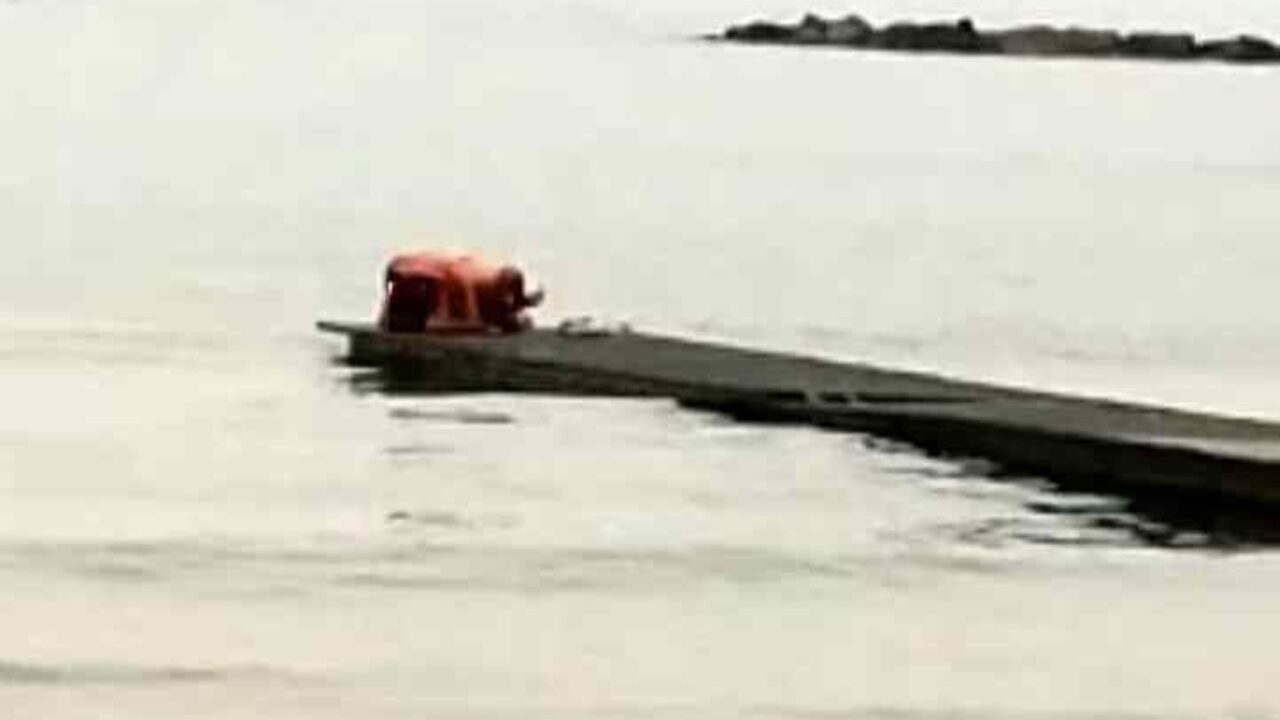 Pescara, sesso sul pontile: il video diventa virale - Rete8